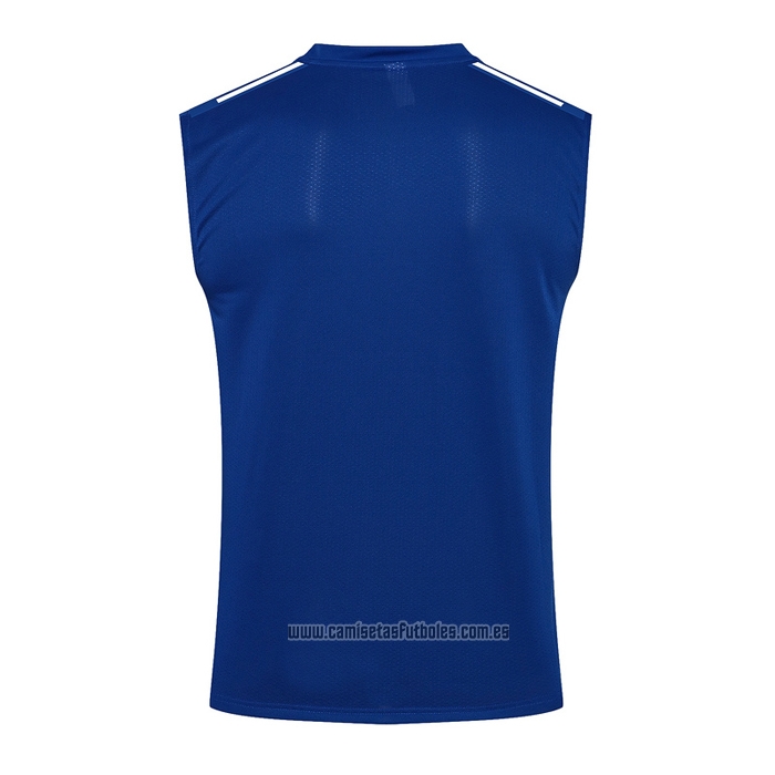 Camiseta de Entrenamiento Boca Juniors Sin Mangas 2021-2022 Azul